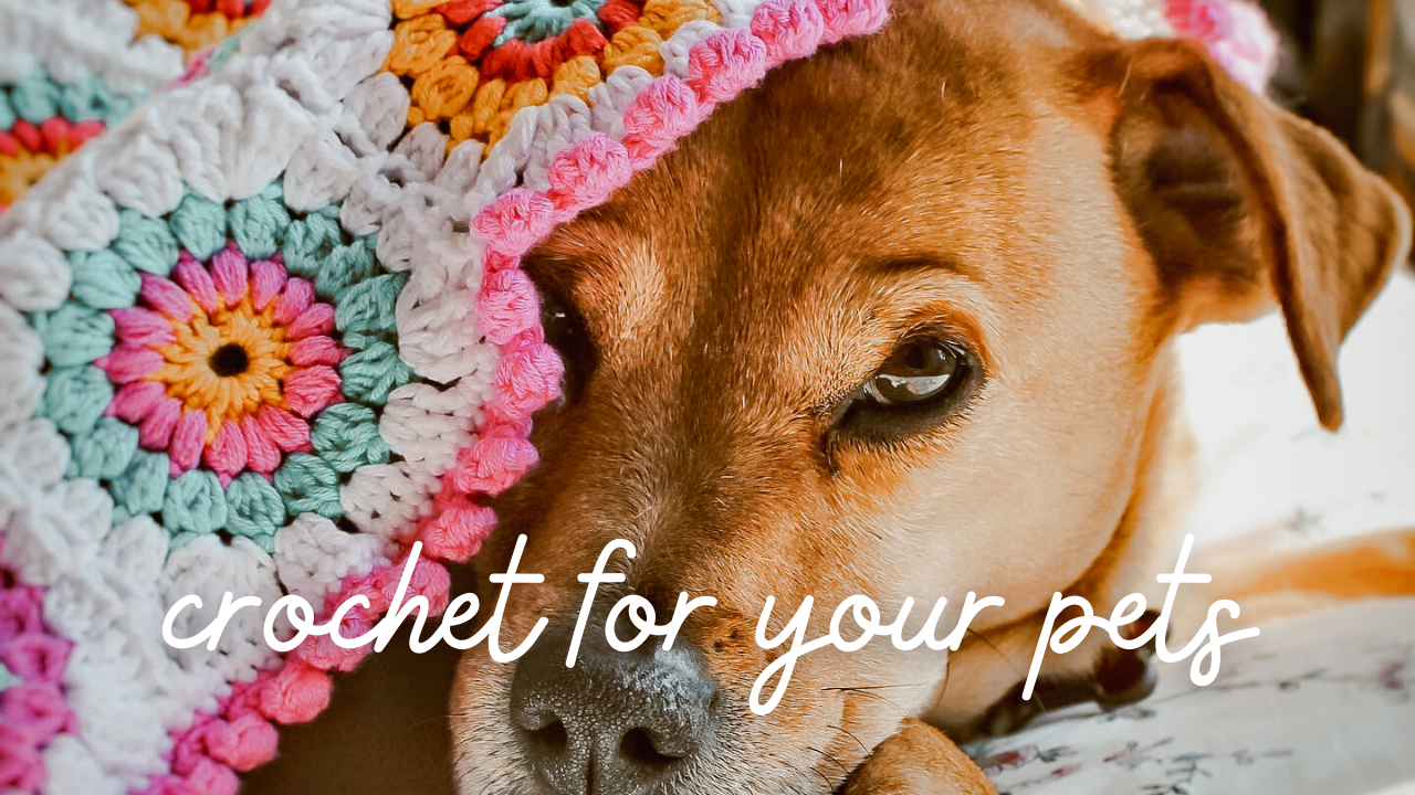 8 Crochet Projects to Pamper Your Pets